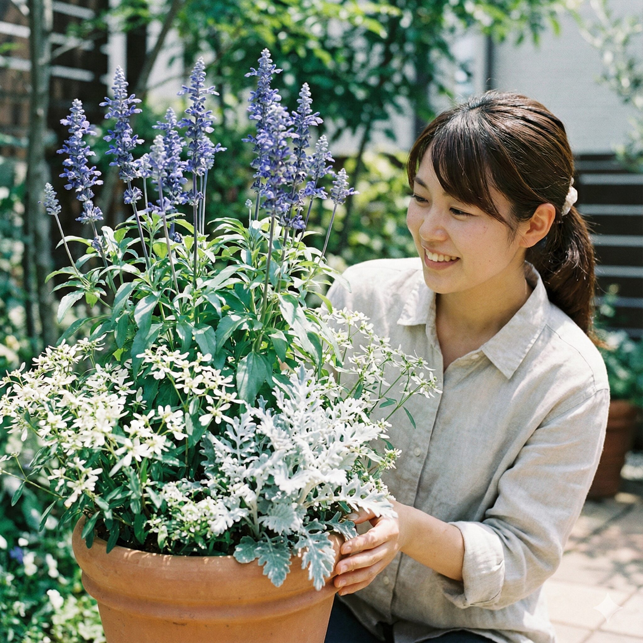 サルビア サリーファン 育て方　サルビア・サリーファンとユーフォルビア・シロタエギクを使った青と白の涼しげな寄せ植え