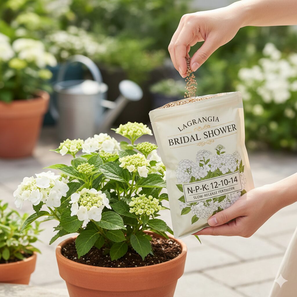 ラグランジア ブライダルシャワー用の緩効性肥料を土に与える手のクローズアップ