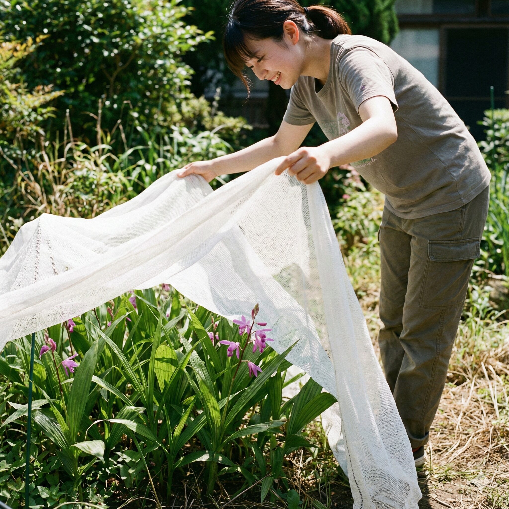 紫蘭花が終わったら6　夏の強い日差しから紫蘭を守るために寒冷紗（遮光ネット）がかけられている庭の様子。