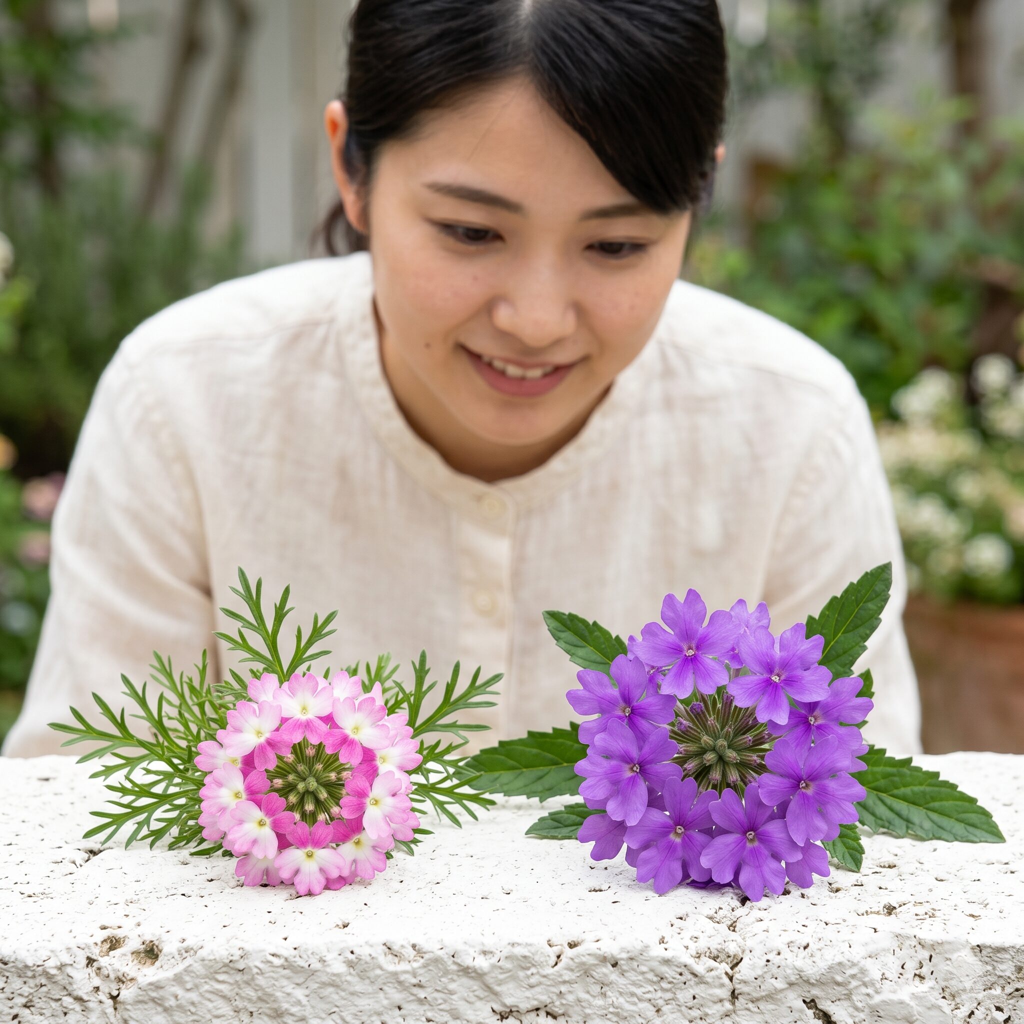 バーベナ 一年草 宿根草 見分け方2　バーベナの一年草と宿根草の花房サイズと花弁の切れ込みの違いを比較した接写画像
