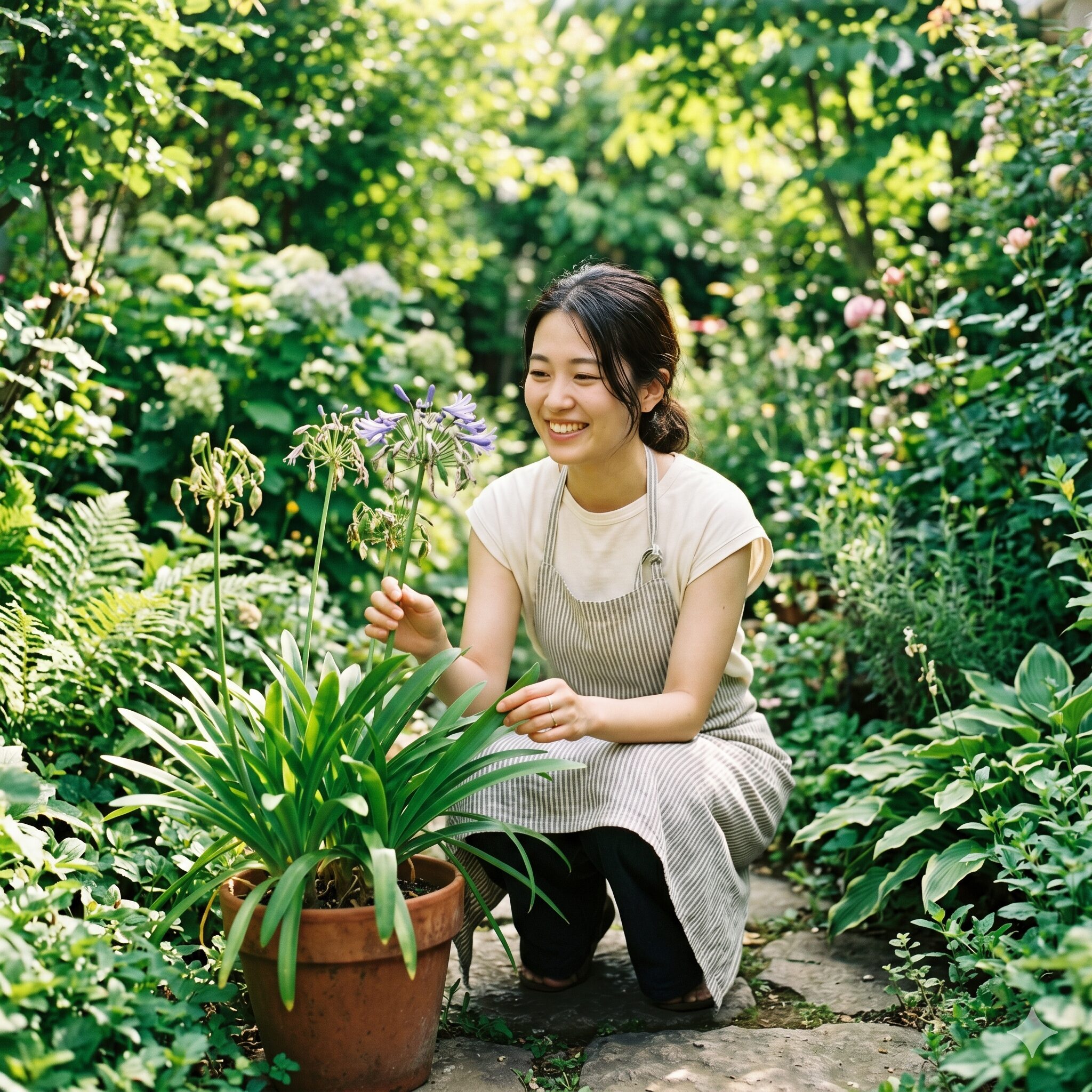 アガパンサス 花が終わったら1　初夏の庭でアガパンサスの鉢植えをお手入れする笑顔の若い日本人女性のアイキャッチ画像