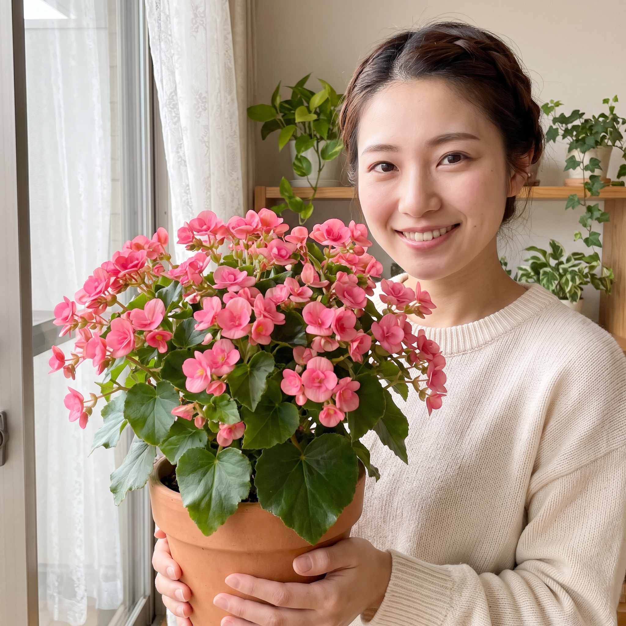 ベゴニア ラブミー 育て方
